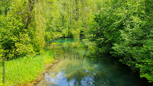 Rhuma Sprung Quelle Karstgebirge Trinkwasser Natur Schutz Wasser Wald Ausflugsziel Niedersachsen Rhume Rhumspringe Fluß türkis kalt feucht Steg Ponton Nationalpark wandern Bio- Öko- Umwelt- Aue 