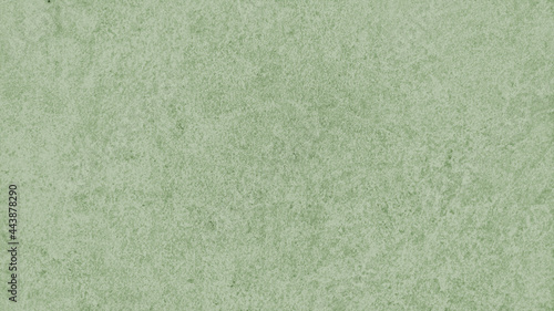 Background. Texture. Beautiful texture. Beautiful background. Green background.
