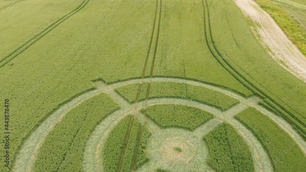 Aerial drone view of crop circle formation in corn field, Avebury, Wiltshire, UK