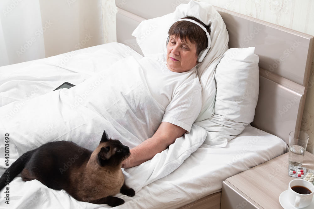 A domestic cat entertains a sick grandmother and does not let her get bored. A domestic cat entertains a sick grandmother and does not let her get bored.