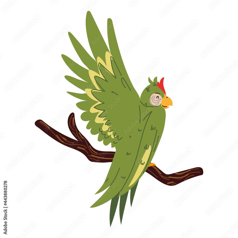 parrot on the branch parrot on the branch
