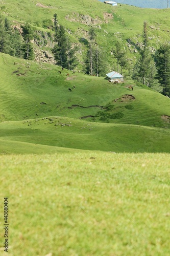 Beautiful meadows of Azad Kashmir Pakistan