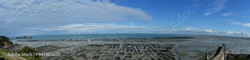 Oyster beds on the Atlantic Ocean  on a beautiful cloudy day  photo