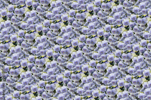 flower plant pattern texture background