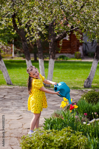 a smiling, cheerful girl in a yellow dress waters yellow tulips from a blue watering can standing on the stone paved path of the front yard outdoors.