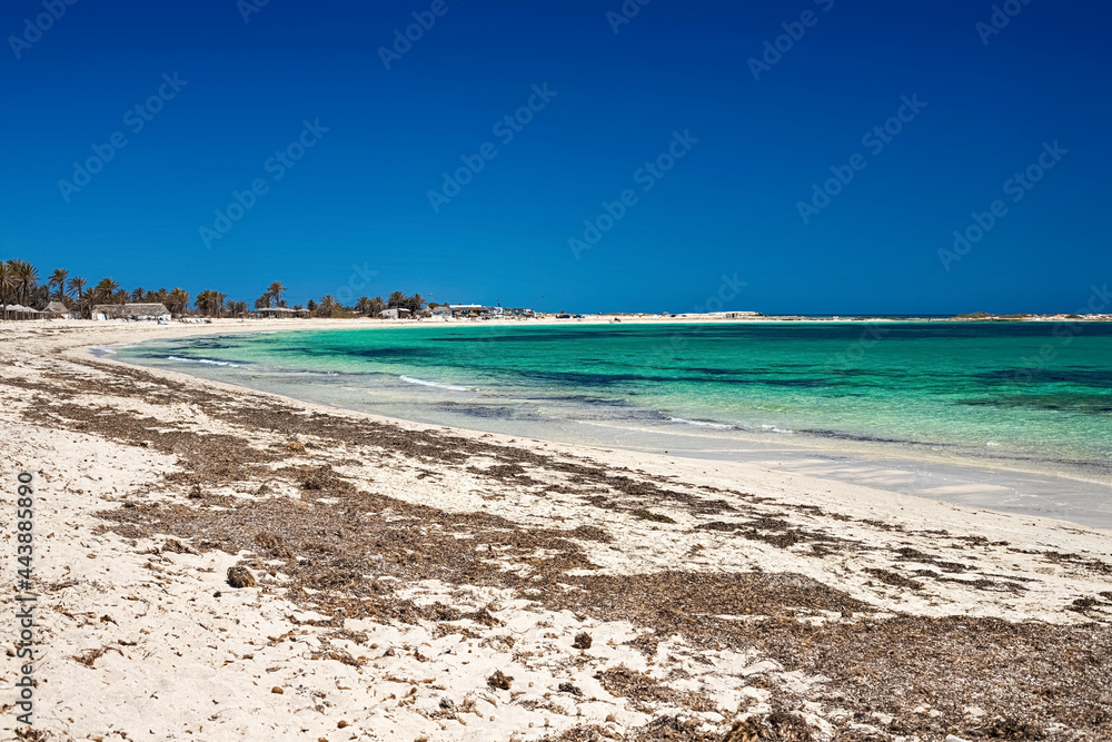 A beautiful view of the Mediterranean coast with birch water, a beach with white sand and a green palm tree.