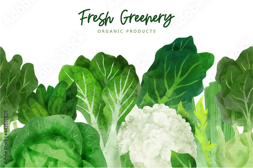 Seamless border composed of fresh vegetables and herbs