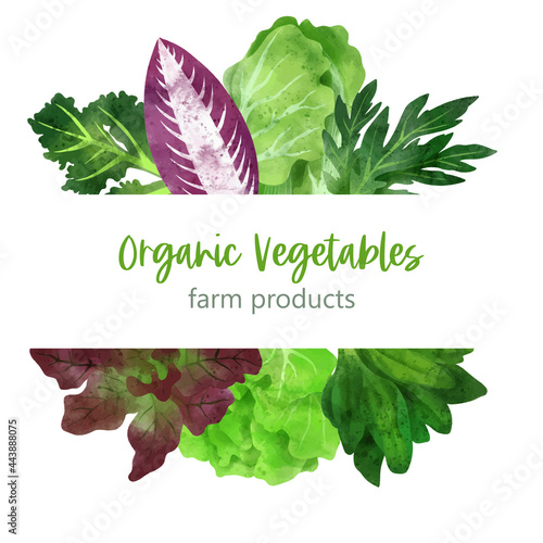 Summer veggies banner, hand drawn vector watercolor illustration