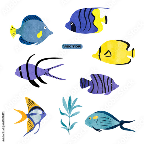 Tropical fish vector set. C...