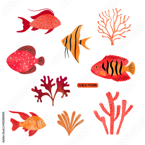 Tropical fish vector set. Coral reef watercolor collection of sea fish, seaweeds and corals.