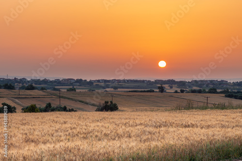Barley field at sunrise with the sun in a frame on an orange sky and a village in the background