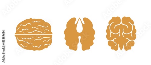 Walnut logo. Isolated walnut on white background. Set 