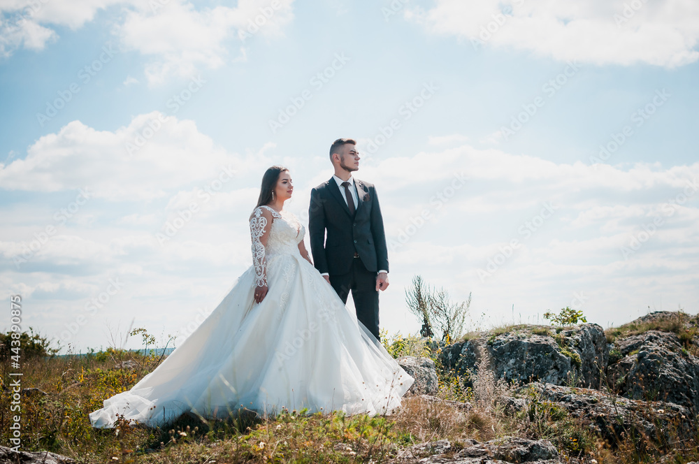 Newlyweds hug on the background of rocks and a beautiful landscape