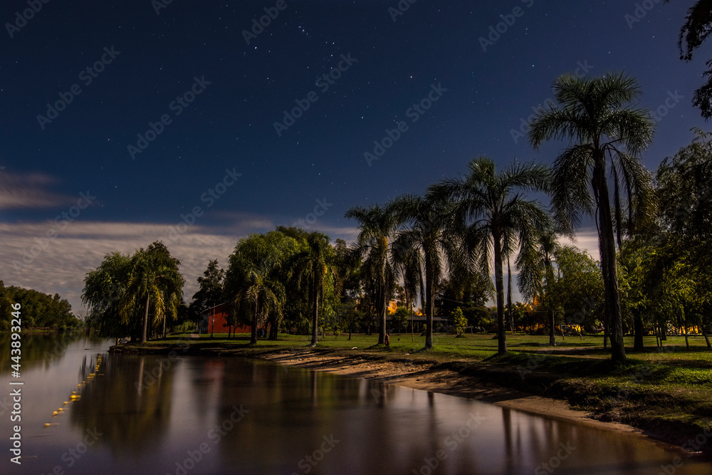 
Night shot of a quiet riverside and palm trees in the shore. Stars can be seen in the sky and some clouds in the horizon. Villa Paranacito, Entre Ríos, Argentina