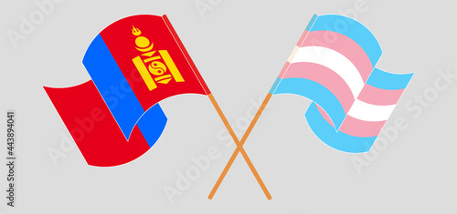Crossed and waving flags of Mongolia and Transgender Pride