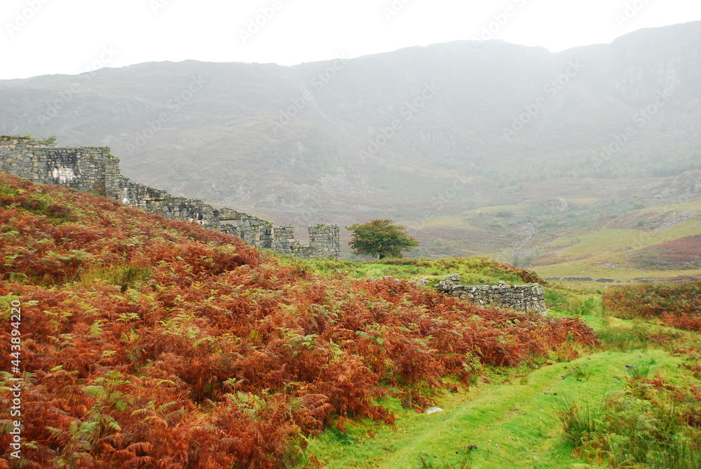 Wales landscape in rainy weather