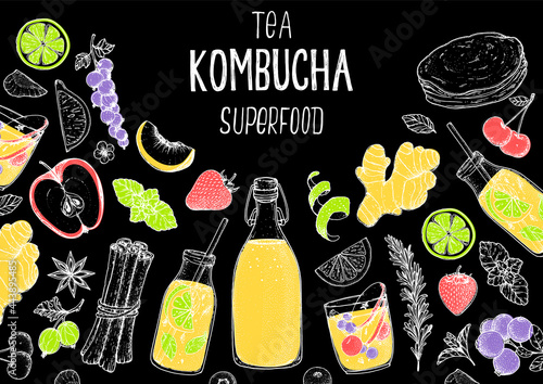 Kombucha tea and ingredients for kombucha sketch. Hand drawn vector illustration. Kombucha drink. Tea mushroom, tea fungus, or Manchurian mushroom.
