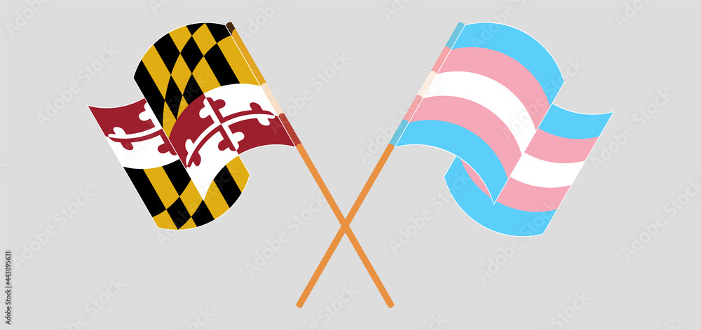 Crossed and waving flags of the State of Maryland and Transgender Pride