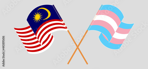 Crossed and waving flags of Malaysia and Transgender Pride