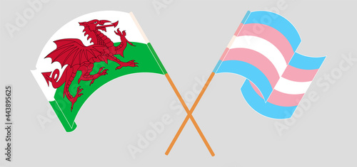Crossed and waving flags of Wales and Transgender Pride