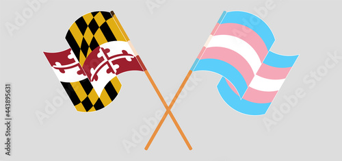 Crossed and waving flags of the State of Maryland and Transgender Pride