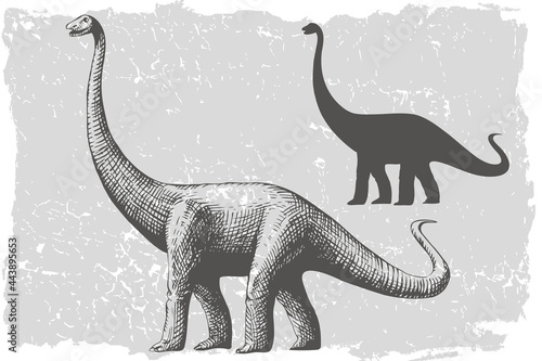 Dinosaur diplodocus grafic hand drawn and silhouette illustration