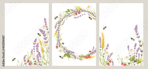 Birthday or Wedding invitation cards. Vector design element, wreaths of lavender, chamomile, wheat ears, strawberry and bee, medicinal herbs, calligraphy lettering.	