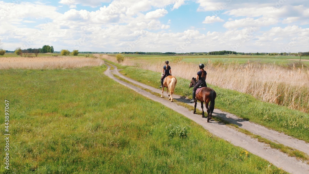 Aerial shot of two horse riders on a light brown and a dark bay horse moving across the farm field. Riders on horseback galloping in the field. Beautiful farm field meadows during the daytime. 