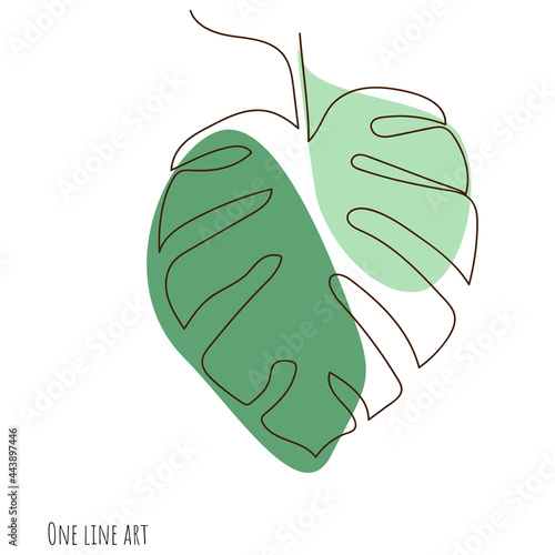 one line art monstera leaf