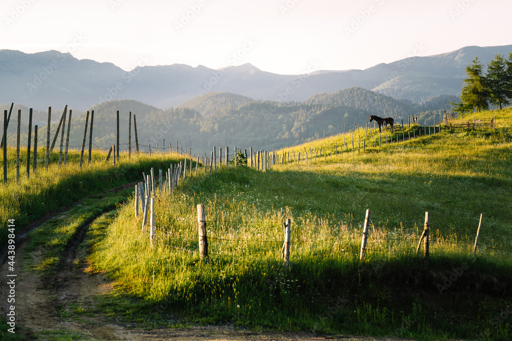 Horse against andscape with a fence and mountains