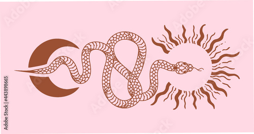 Vector poster set of mystical magic objects- snake, moon and sun, line art. Spiritual occultism objects.