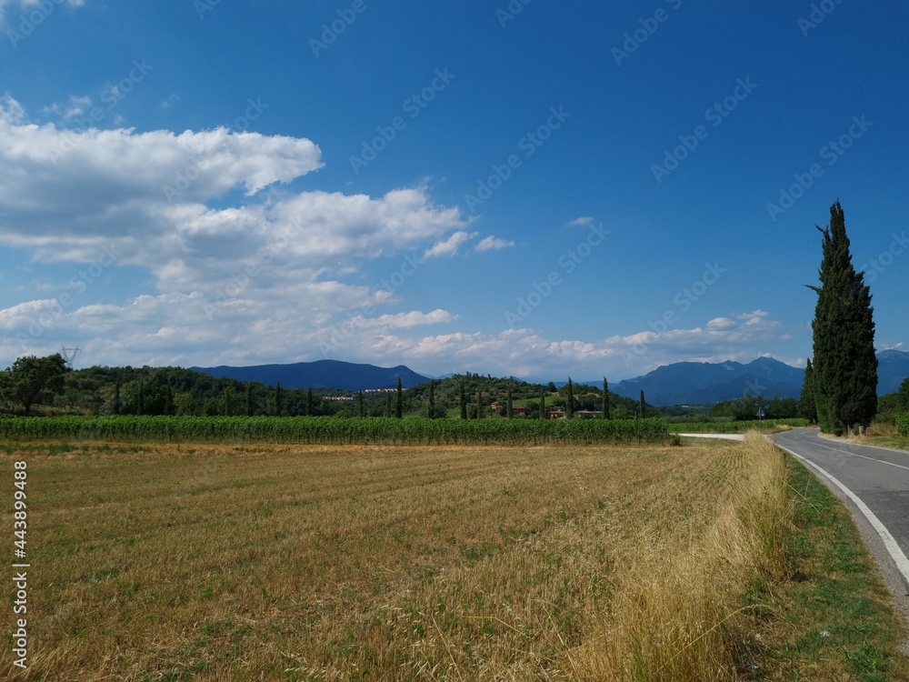 Fototapeta premium campo in collina