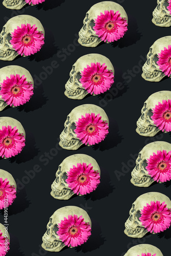 Skull pattern with pink flower.  Creative Halloween background. Minimal romantic fashion koncept.