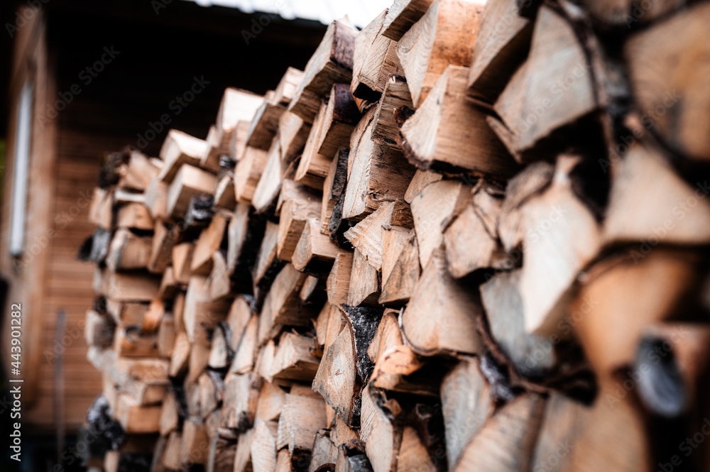 a woodpile with harvesting and stacked firewood of chopped wood for kindling and heating the house. firewood of the birch tree a woodpile with harvesting and stacked firewood of chopped wood for kindling and heating the house. firewood of the birch tree