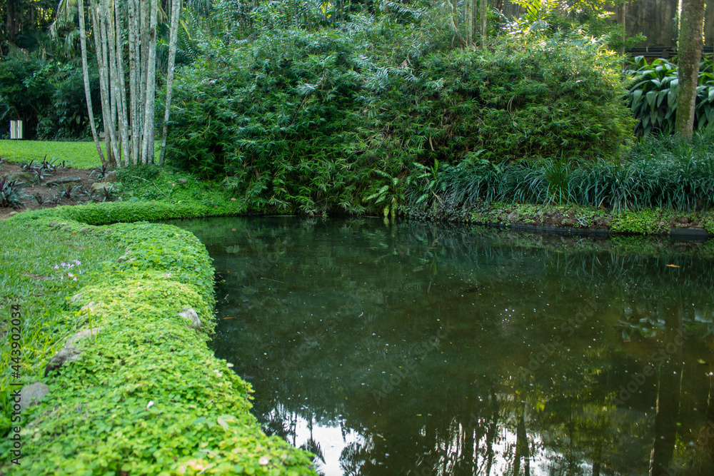 Fototapeta premium garden and lake