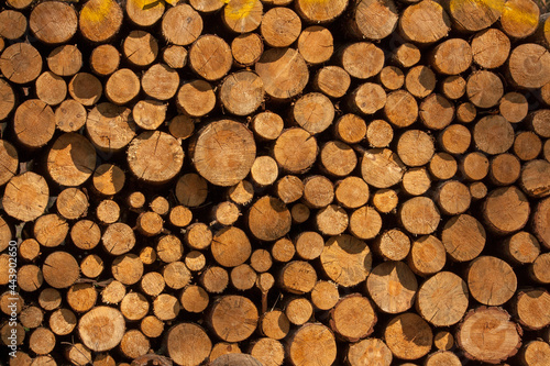 a pile of tree trunks lying  waiting to be burned