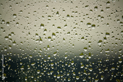 Water drops on a window