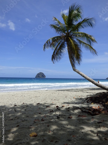 Martinique plage et rocher du Diamant