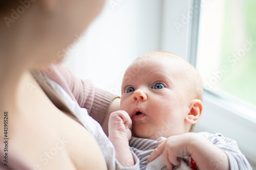 A newborn baby, hands at the mouth, without hair and blue eyes, lying in the arms of his mother and looking at his mother. The child is pressed to the chest. View from the mother's shoulder.