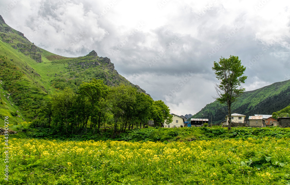 Fototapeta premium Fog in the mountains. Spring rural scenic landscape 