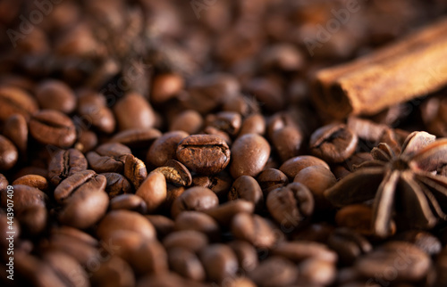 Large roasted coffee beans shot close-up