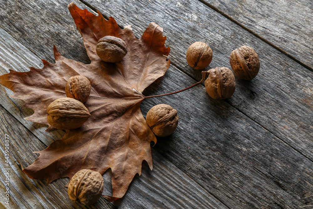 Leaves of a plane tree on an old wooden table with walnuts Leaves of a plane tree on an old wooden table with walnuts