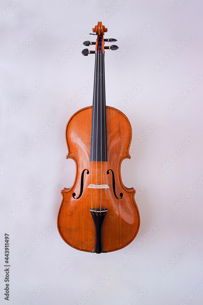Obraz premium Violin in the luthier's workshop wall