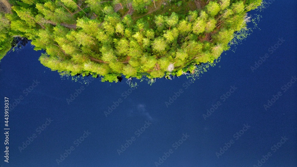 custom made wallpaper toronto digitalblue and green