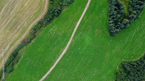 Wallpaper Mural caterpillar on leaf Torontodigital.ca