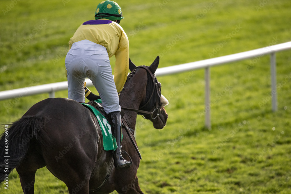 Close up Race horse and jockey galloping towards the finish line Close up Race horse and jockey galloping towards the finish line