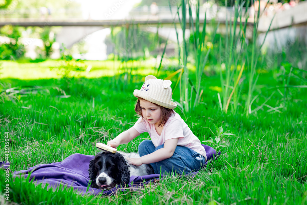 a small, beautiful girl in a hat, combing her dog, in the park on a blanket and green grass a small, beautiful girl in a hat, combing her dog, in the park on a blanket and green grass