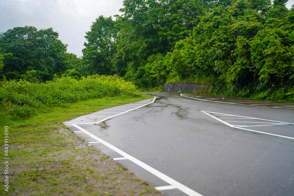 Fototapeta premium 雨飾山 登山道の風景