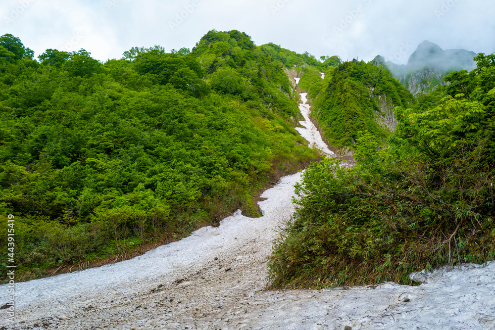 雨飾山 登山道の風景