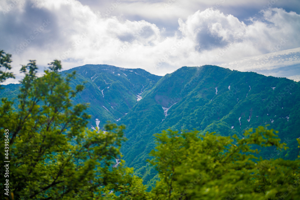 Obraz premium 雨飾山 登山道の風景